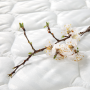 Ортопедический матрас Primavera SOLE